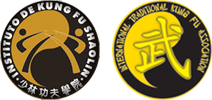 International Traditional Kung Fu Association